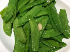 清炒荷兰豆-金春禧(世茂国际广场店)