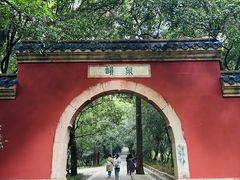 -灵谷景区