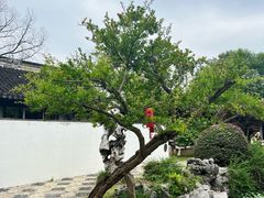 -木渎古镇
