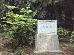 -采石矶景区