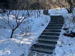-香山公园
