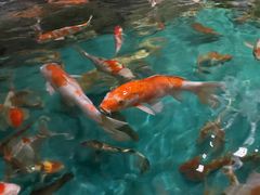 -多彩贵州城极地海洋世界