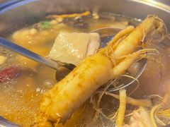 -千岛蚝高压锅生蚝·人参火锅(白云万达店)