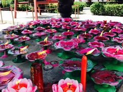 -西安青龙寺遗址景区
