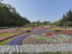 -深圳仙湖植物园