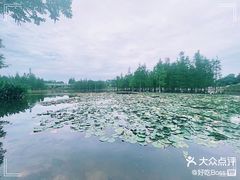 -白鹭湾湿地公园