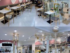 -喵园·猫主题咖啡厅·撸猫·猫咖(国贸店)