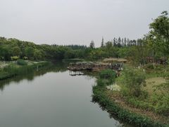 -上海长兴岛郊野公园