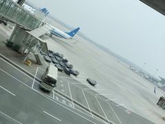 -郑州新郑国际机场