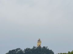 -南山植物园