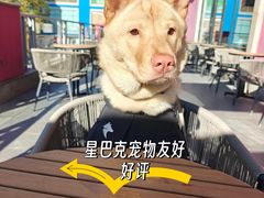 -星巴克臻选(金桥国际店)