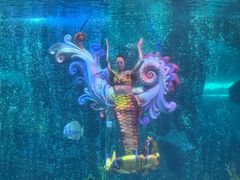 -泉城欧乐堡海洋极地世界