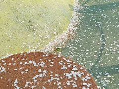 -杭州少年儿童公园