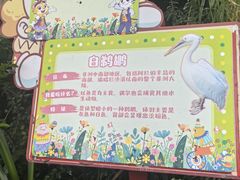 -广州长隆国际大马戏