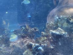 -太平洋海底世界