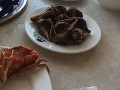 -春华海鲜城(广场西苑店)