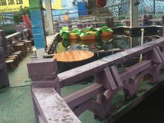 -顺德大良半月城游乐场