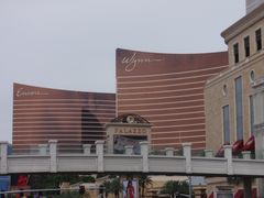 -拉斯维加斯永利酒店