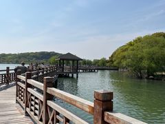 -苏州上方山国家森林公园