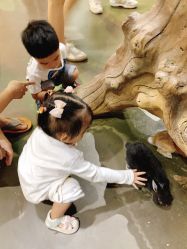 -Zoolung Zoolung动物主题公园(海信广场店)