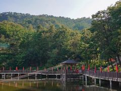 -沂蒙山旅游区云蒙景区(蒙山国家森林公园)