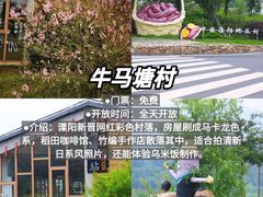 -紫藤园·天目湖大鱼头(南山竹海店)