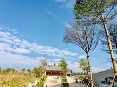 -香山湖公园