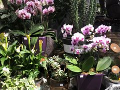 -Olé精品超市(北京合生汇店)