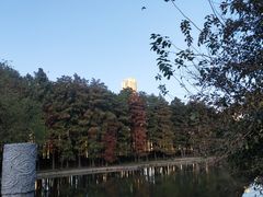 -汉水公园