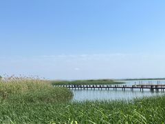 -苏州太湖湖滨国家湿地公园