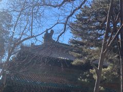 -潭柘寺景区