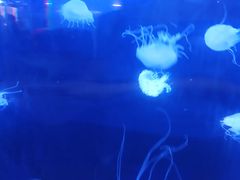 -五缘湾悦都汇购物中心