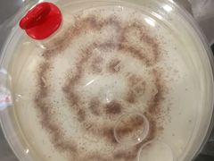 -沪上阿姨·精选茶饮(桃源友嘉购物广场店)