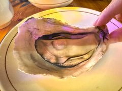 -土蚝·高压锅生蚝(百姓美食街店)