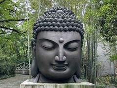 -杭州植物园