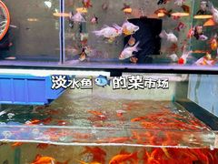 -大学城夜市大排档(凤栖路店)