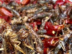 -石屏老字号4号包浆豆腐美食城(泼水广场店)