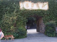 -藏龙百瀑风景区