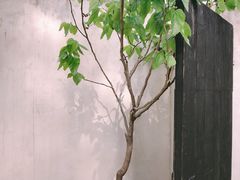 -梵几(东信·和创园店)