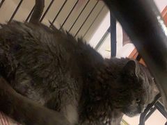 -Rabbit Cafe私房西餐甜点咖啡(栖霞路店)