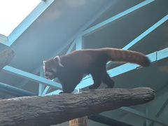 -石家庄市动物园