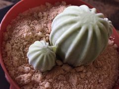 -青咖啡(三坊七巷店)