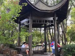-东湖落雁景区