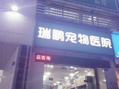 -瑞鹏宠物医院华南总院·夜诊·心脏科·骨科