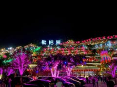 -枇杷园食为鲜火锅(南山店)