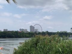 -南宁南湖公园