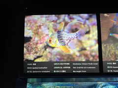 -上海海洋水族馆