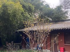 -钱王祠