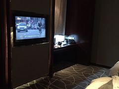 -常州环球恐龙城维景国际大酒店