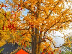 -牛郎织女景区